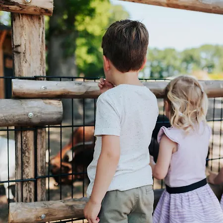 Sfeervol Houten Met Fijne Buitenruimte Op De Veluwe