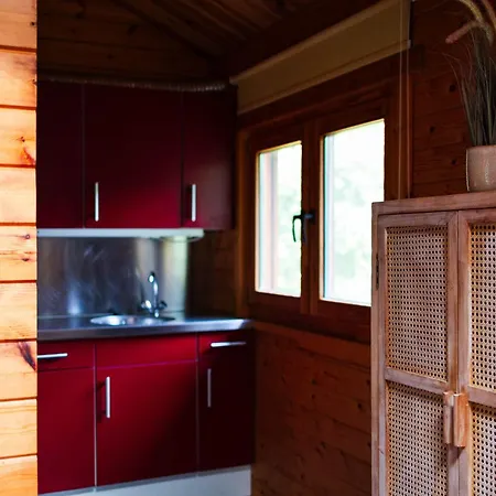 Sfeervol Houten Met Fijne Buitenruimte Op De Veluwe *