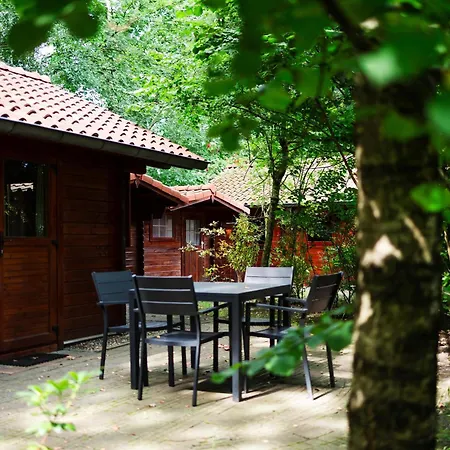 Sfeervolle Blokhut Met Fijne Buitenruimte @ Veluwe Tatil Evi Epe