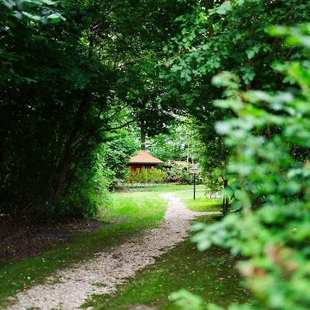 Sfeervolle Blokhut Met Fijne Buitenruimte @ Veluwe Tatil Evi *