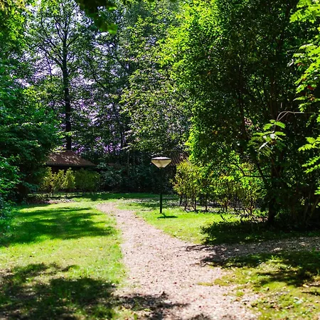 Sfeervolle Blokhut Met Fijne Buitenruimte @ Veluwe *