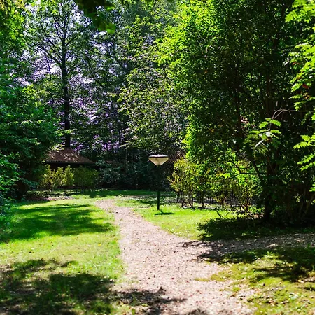 Sfeervol Houten Met Fijne Buitenruimte Op De Veluwe *