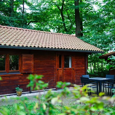 Casa de Férias Sfeervol Houten Met Fijne Buitenruimte Op De Veluwe