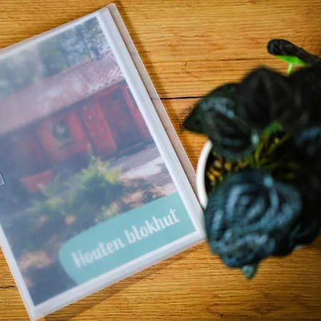 Sfeervolle Blokhut Met Fijne Buitenruimte @ Veluwe Tatil Evi Epe