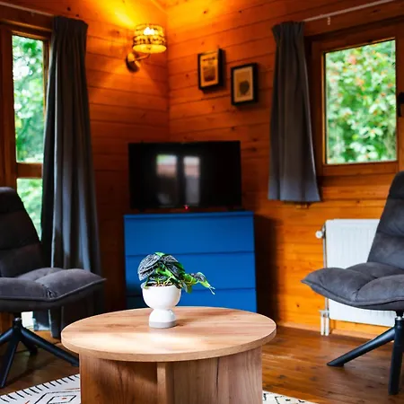 Sfeervol Houten Met Fijne Buitenruimte Op De Veluwe *