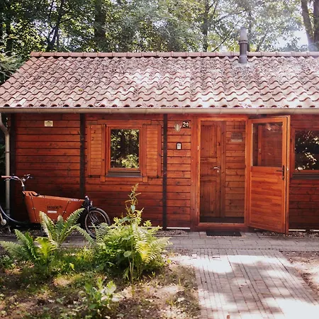 Tatil Evi Sfeervolle Blokhut Met Fijne Buitenruimte @ Veluwe *