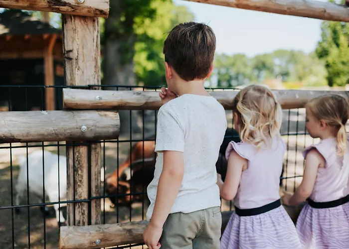 Sfeervol Houten Met Fijne Buitenruimte Op De Veluwe