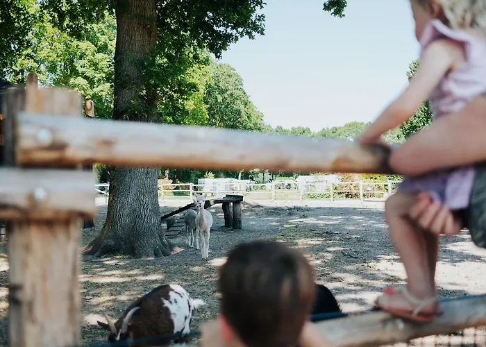 Sfeervol Houten Met Fijne Buitenruimte Op De Veluwe