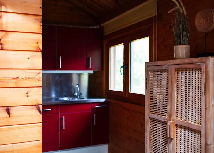 Sfeervol Houten Met Fijne Buitenruimte Op De Veluwe *