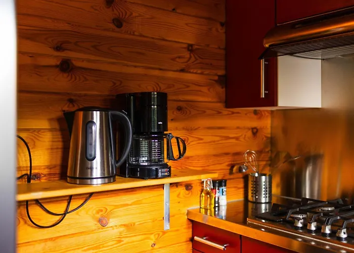 Sfeervol Houten Met Fijne Buitenruimte Op De Veluwe Epe