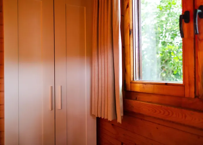 Sfeervol Houten Met Fijne Buitenruimte Op De Veluwe بيت للعطل *