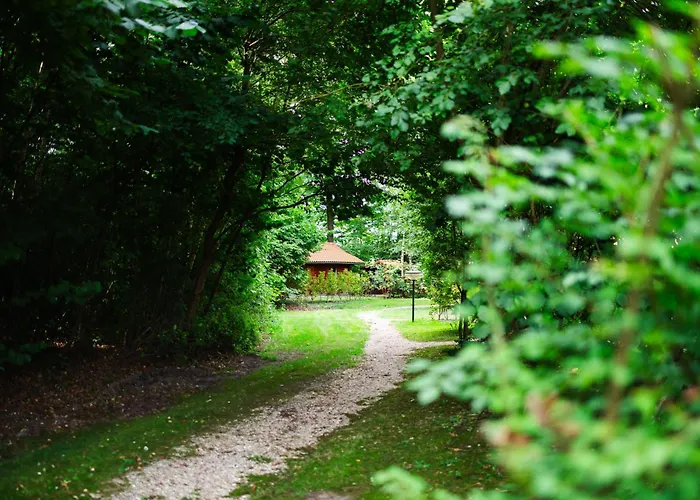 Sfeervol Houten Met Fijne Buitenruimte Op De Veluwe Σπίτι διακοπών *