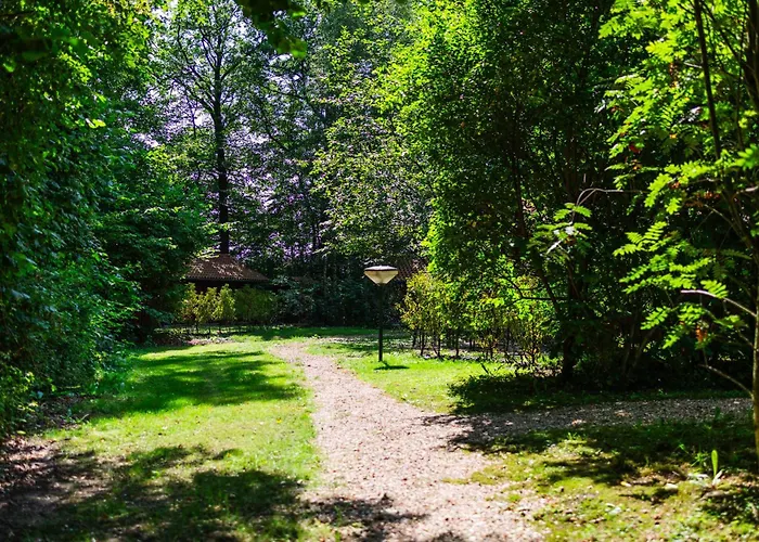 Sfeervol Houten Met Fijne Buitenruimte Op De Veluwe *