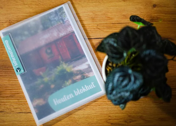 Sfeervol Houten Met Fijne Buitenruimte Op De Veluwe Σπίτι διακοπών Epe