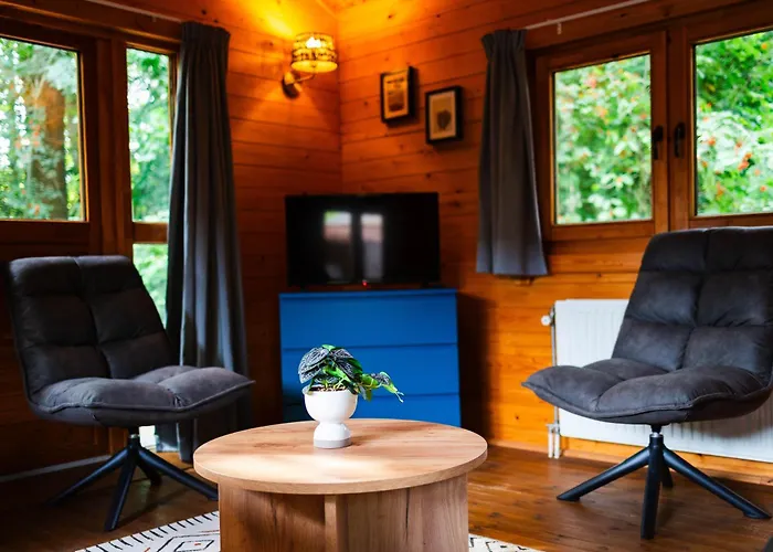 Sfeervol Houten Met Fijne Buitenruimte Op De Veluwe *