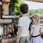 Sfeervol Houten Met Fijne Buitenruimte Op De Veluwe
