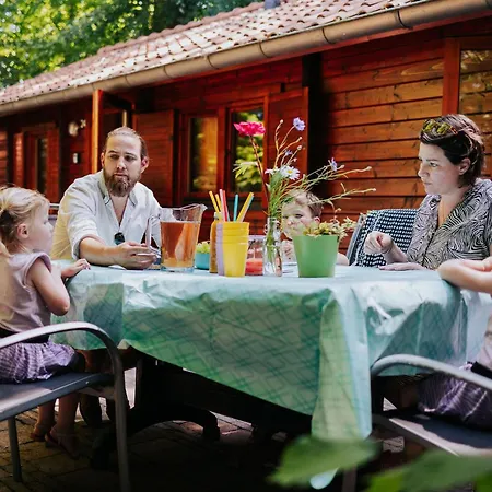 Sfeervol Houten Met Fijne Buitenruimte Op De Veluwe אפ