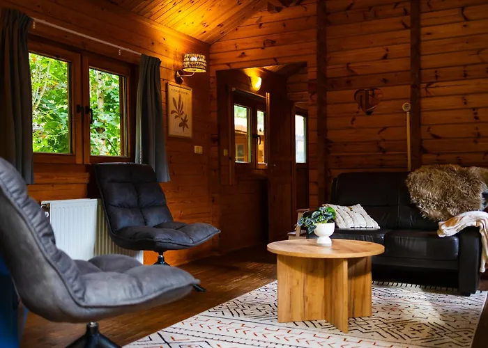 בית נופש Sfeervol Houten Met Fijne Buitenruimte Op De Veluwe *