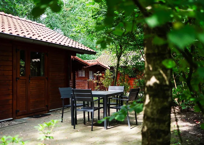 Sfeervol Houten Met Fijne Buitenruimte Op De Veluwe בית נופש אפ