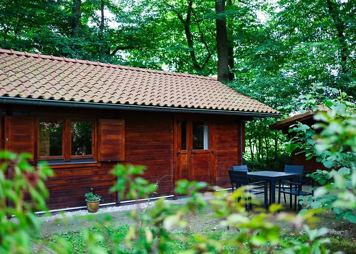 בית נופש Sfeervol Houten Met Fijne Buitenruimte Op De Veluwe