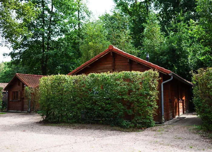 Sfeervol Houten Met Fijne Buitenruimte Op De Veluwe *